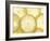 Several Lemon Slices-null-Framed Photographic Print