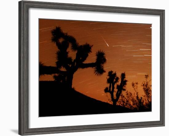 Several Leonids Meteors are Seen Streaking Through the Sky Over Joshua Tree National Park, Calif.-null-Framed Photographic Print