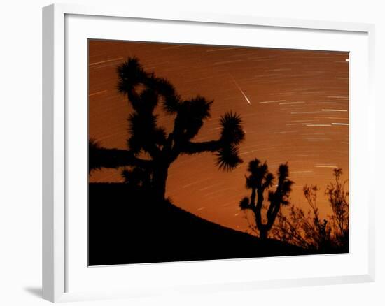 Several Leonids Meteors are Seen Streaking Through the Sky Over Joshua Tree National Park, Calif.-null-Framed Photographic Print