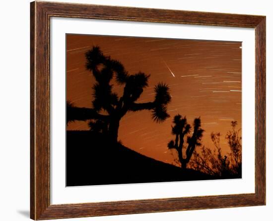 Several Leonids Meteors are Seen Streaking Through the Sky Over Joshua Tree National Park, Calif.-null-Framed Photographic Print