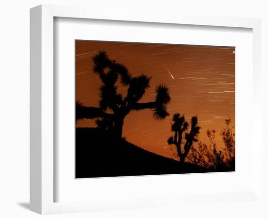 Several Leonids Meteors are Seen Streaking Through the Sky Over Joshua Tree National Park, Calif.-null-Framed Photographic Print