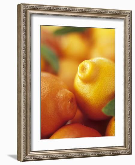 Several Mandarin Oranges with Leaves-Vladimir Shulevsky-Framed Photographic Print