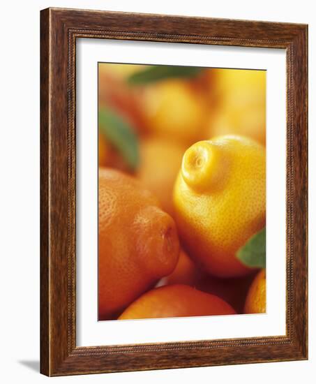 Several Mandarin Oranges with Leaves-Vladimir Shulevsky-Framed Photographic Print