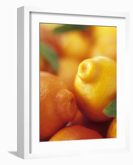 Several Mandarin Oranges with Leaves-Vladimir Shulevsky-Framed Photographic Print