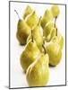 Several Pears Standing One Behind the Other-Dieter Heinemann-Mounted Photographic Print
