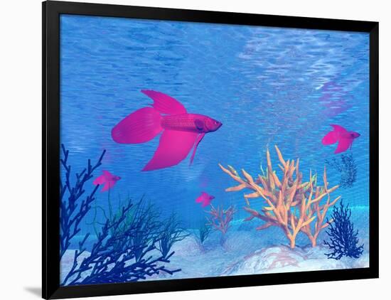 Art Print, , large