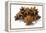 Several Star Anise on White Background-Kröger and Gross-Framed Premier Image Canvas