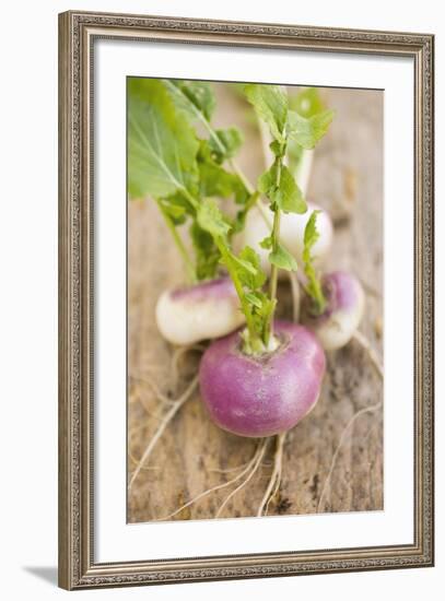 Several Turnips-Foodcollection-Framed Photographic Print