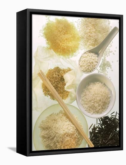 Several Types of Rice-Eising Studio Food Photo and Video-Framed Premier Image Canvas