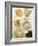 Several Types of Rice-Eising Studio Food Photo and Video-Framed Photographic Print