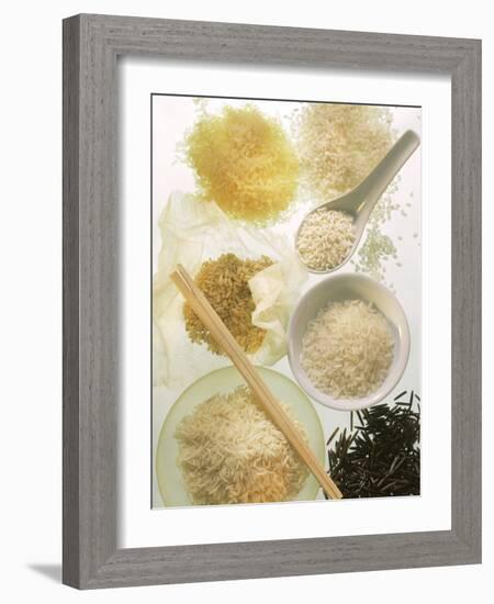 Several Types of Rice-Eising Studio Food Photo and Video-Framed Photographic Print