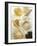 Several Types of Rice-Eising Studio Food Photo and Video-Framed Photographic Print