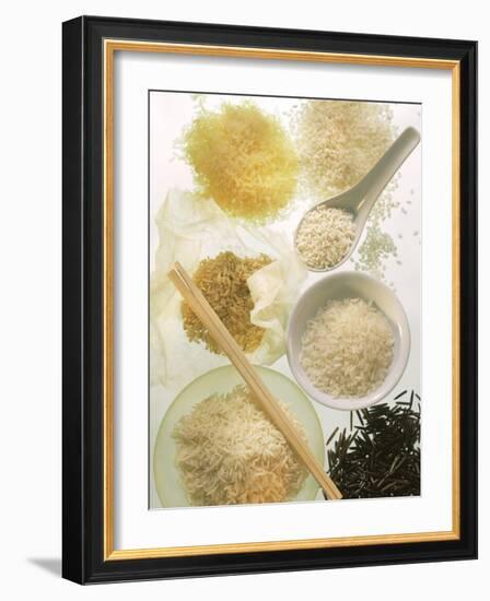 Several Types of Rice-Eising Studio Food Photo and Video-Framed Photographic Print