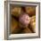 Several Wine Corks-Alexander Feig-Framed Photographic Print