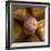 Several Wine Corks-Alexander Feig-Framed Photographic Print