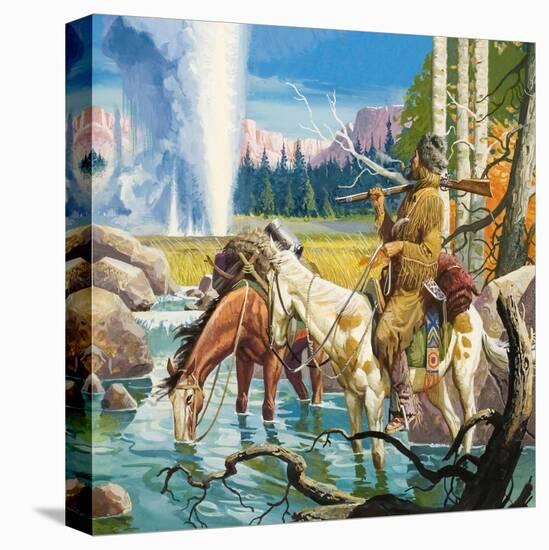 Stretched Canvas Print, , large