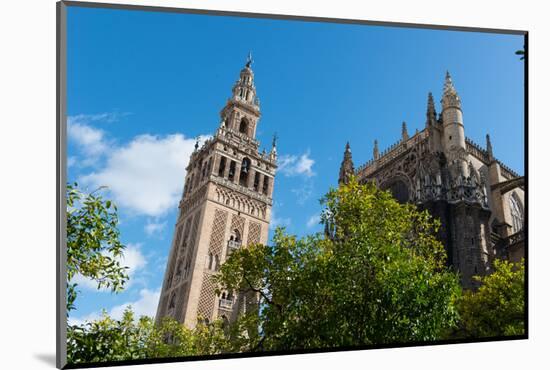 Sevilla Cathedral and Giralda, Seville, Andalucia, Spain-Carlo Morucchio-Mounted Photographic Print