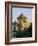 Seville, Andalucia, Spain-Sylvain Grandadam-Framed Photographic Print