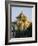 Seville, Andalucia, Spain-Sylvain Grandadam-Framed Photographic Print