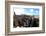 Seville Cathedral Seen from Giralda Bell Tower, Seville, Andalucia, Spain-Carlo Morucchio-Framed Photographic Print