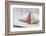 Sewed Christmas tree on cushion, still life-Andrea Haase-Framed Photographic Print