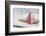 Sewed Christmas tree on cushion, still life-Andrea Haase-Framed Photographic Print