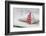 Sewed Christmas tree on cushion, still life-Andrea Haase-Framed Photographic Print