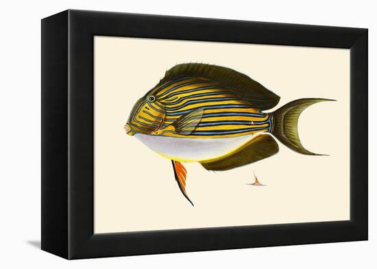 Seweyah-John Whitchurch Bennett-Framed Stretched Canvas