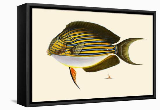 Seweyah-John Whitchurch Bennett-Framed Stretched Canvas