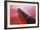 Sex Toy-Cristina-Framed Photographic Print