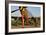 Sexy 1940's Style Pin-Up Girl Posing with a P-51 Mustang-null-Framed Photographic Print