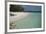 Seychelles, Aldabra Island Group, Aldabra Atoll, Picard Island. Remote pristine white sand beach.-Cindy Miller Hopkins-Framed Premium Photographic Print