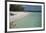 Seychelles, Aldabra Island Group, Aldabra Atoll, Picard Island. Remote pristine white sand beach.-Cindy Miller Hopkins-Framed Premium Photographic Print