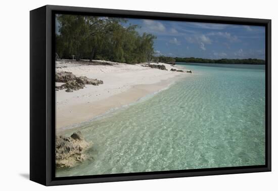 Seychelles, Aldabra Island Group, Aldabra Atoll, Picard Island. Remote pristine white sand beach.-Cindy Miller Hopkins-Framed Premier Image Canvas