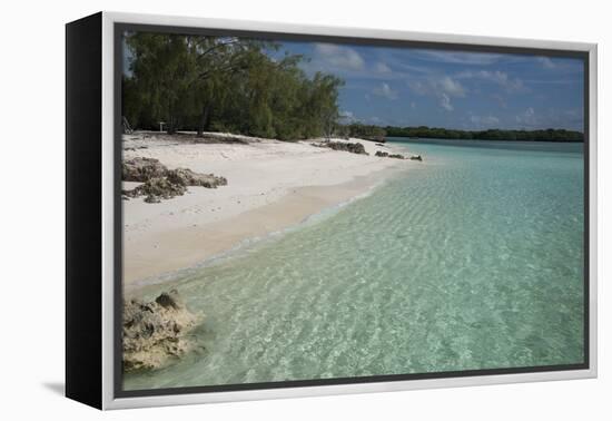 Seychelles, Aldabra Island Group, Aldabra Atoll, Picard Island. Remote pristine white sand beach.-Cindy Miller Hopkins-Framed Premier Image Canvas