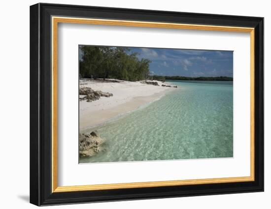 Seychelles, Aldabra Island Group, Aldabra Atoll, Picard Island. Remote pristine white sand beach.-Cindy Miller Hopkins-Framed Photographic Print