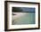 Seychelles, Aldabra Island Group, Aldabra Atoll, Picard Island. Remote pristine white sand beach.-Cindy Miller Hopkins-Framed Photographic Print