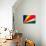 Seychelles Flag Design with Wood Patterning - Flags of the World Series-Philippe Hugonnard-Mounted Art Print displayed on a wall