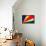 Seychelles Flag Design with Wood Patterning - Flags of the World Series-Philippe Hugonnard-Framed Stretched Canvas displayed on a wall