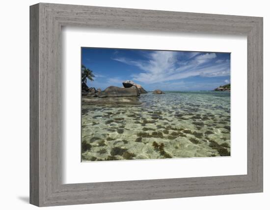 Seychelles, Mahe, St. Anne Marine NP. View of Moyenne Island-Cindy Miller Hopkins-Framed Photographic Print