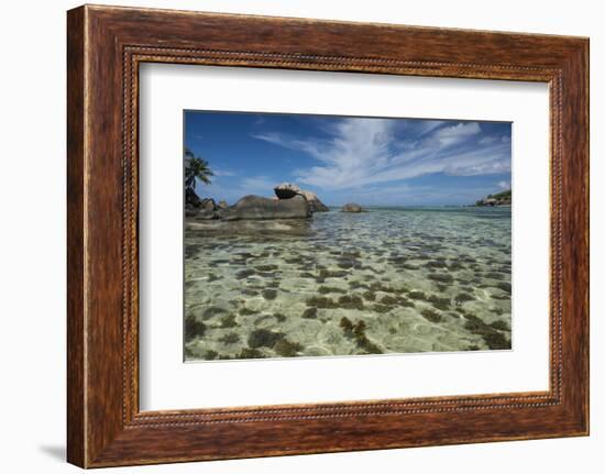 Seychelles, Mahe, St. Anne Marine NP. View of Moyenne Island-Cindy Miller Hopkins-Framed Photographic Print