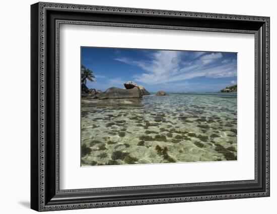 Seychelles, Mahe, St. Anne Marine NP. View of Moyenne Island-Cindy Miller Hopkins-Framed Photographic Print