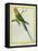 Seychelles Parakeet-Georges-Louis Buffon-Framed Premier Image Canvas