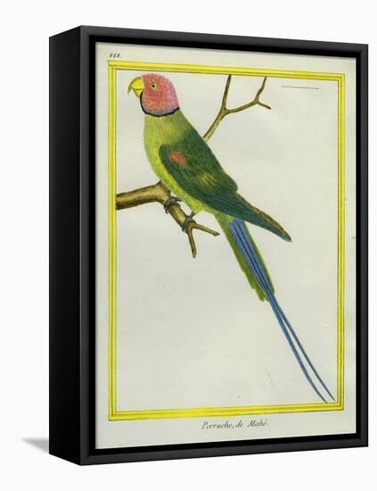 Seychelles Parakeet-Georges-Louis Buffon-Framed Premier Image Canvas