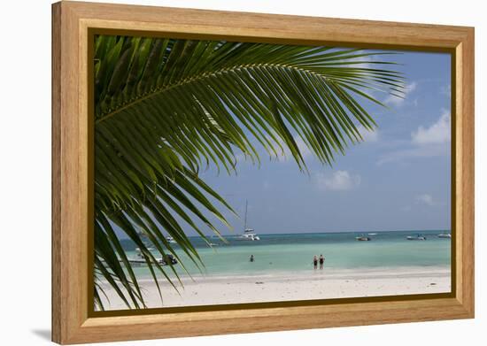 Seychelles, Praslin. Cote D'Or, one of the most beautiful beaches on the island.-Cindy Miller Hopkins-Framed Premier Image Canvas
