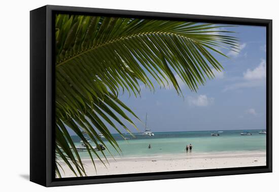 Seychelles, Praslin. Cote D'Or, one of the most beautiful beaches on the island.-Cindy Miller Hopkins-Framed Premier Image Canvas