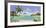 Seychelles-Andrea Del Missier-Framed Art Print