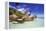 Seychelles-null-Framed Premier Image Canvas