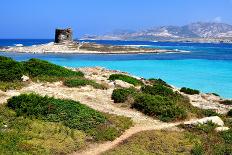 View of Cala Domestica Beach, Sardinia, Italy-sfocato-Framed Photographic Print