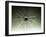 Shabaka Stone, from Memphis, Ancient Egypt, 25th Dynasty, 710 BC-null-Framed Photographic Print